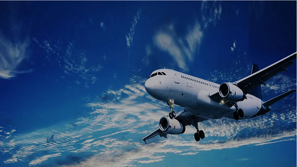 Skyline Next day warehouse with workers managing packages